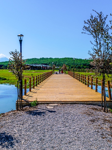 Wooden bridge over Belsh lakes with surrounding greenery and clear sky.