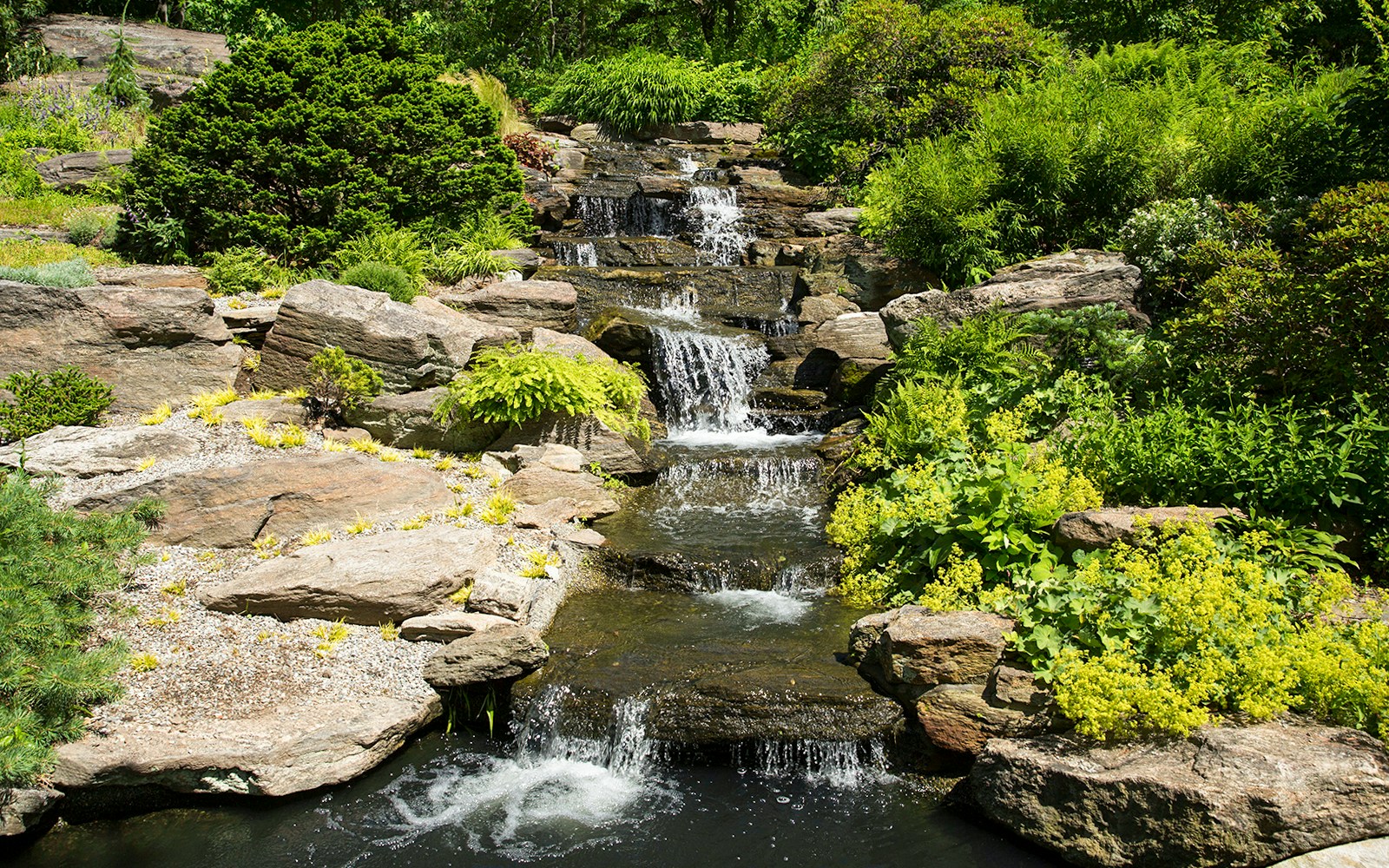 Rock Garden