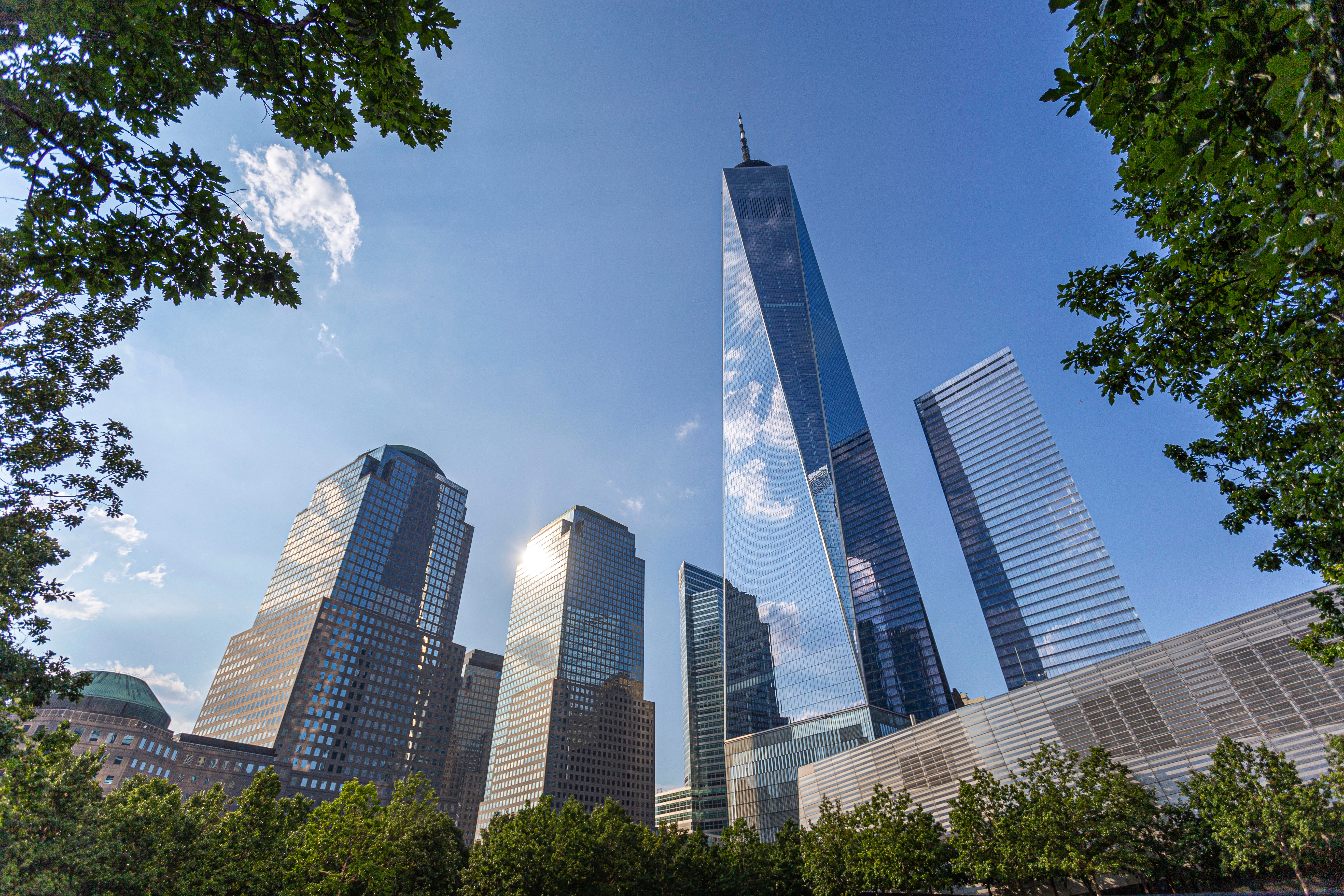 One World Trade Center towering over New York City skyline.