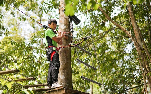 Person navigating a treetop obstacle course at Skytrex Adventure Langkawi.