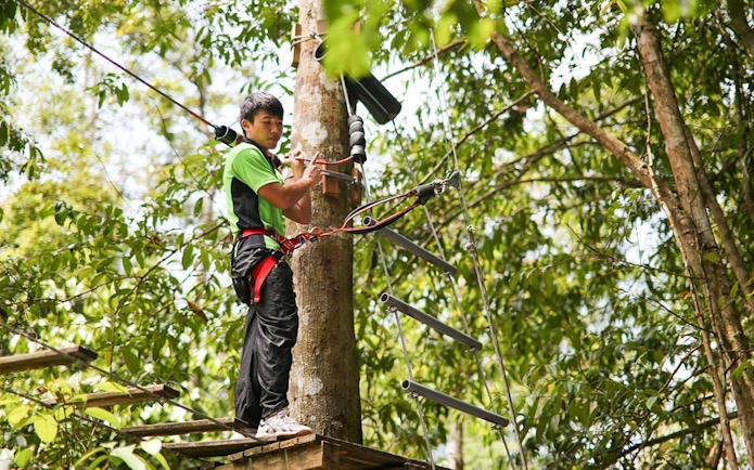 Person navigating a treetop obstacle course at Skytrex Adventure Langkawi.