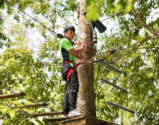 Visitors navigating treetop obstacles at Skytrex Adventure Langkawi, Malaysia.