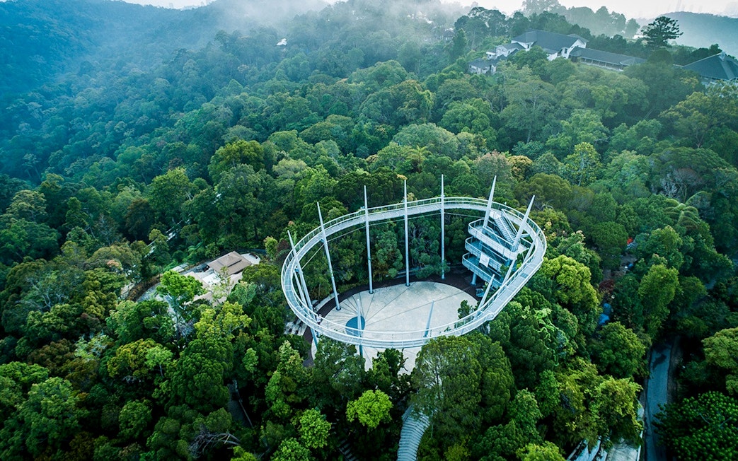 Aerial view of the canopy walk at Habitat Penang Hill surrounded by lush forest.