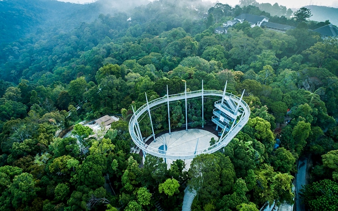 Aerial view of the canopy walk at Habitat Penang Hill surrounded by lush forest.