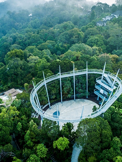 Aerial view of the canopy walk at Habitat Penang Hill surrounded by lush forest.