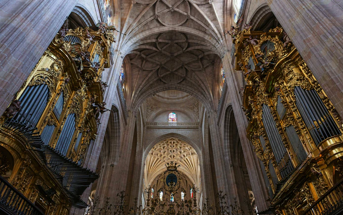 Seville Cathedral Guided Night Tour
