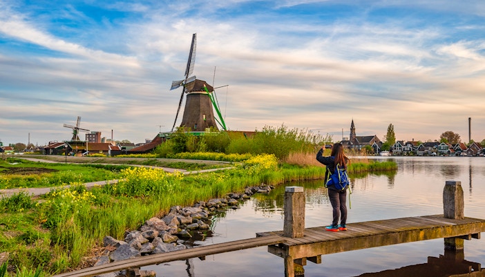 Dutch windmill at Zaanse Schans Village with colorful tulip fields in the foreground.