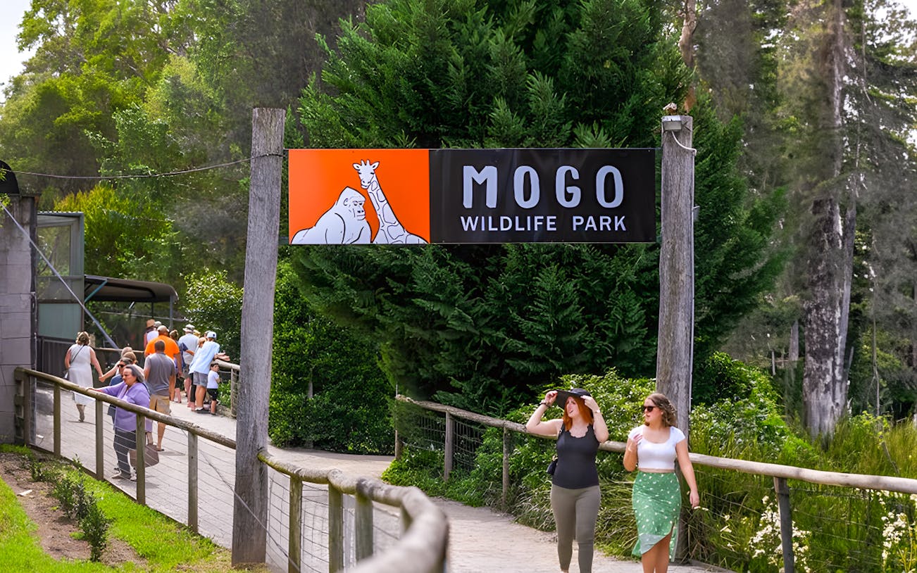Visitors entering Mogo Wildlife Park under a sign with animal illustrations.