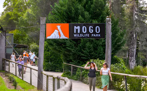 Visitors entering Mogo Wildlife Park under a sign with animal illustrations.
