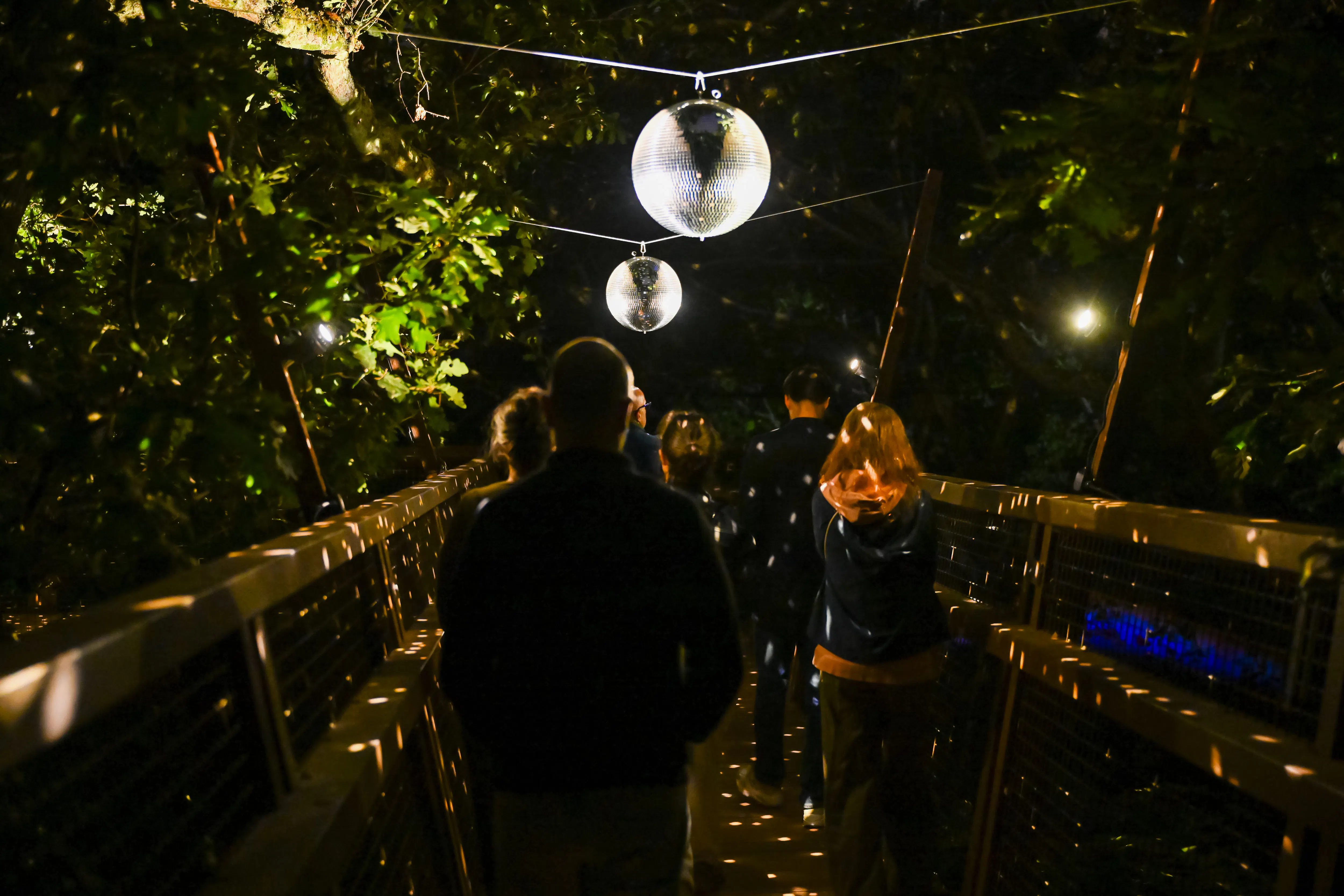 billetter til «serralves in light 2026»-20