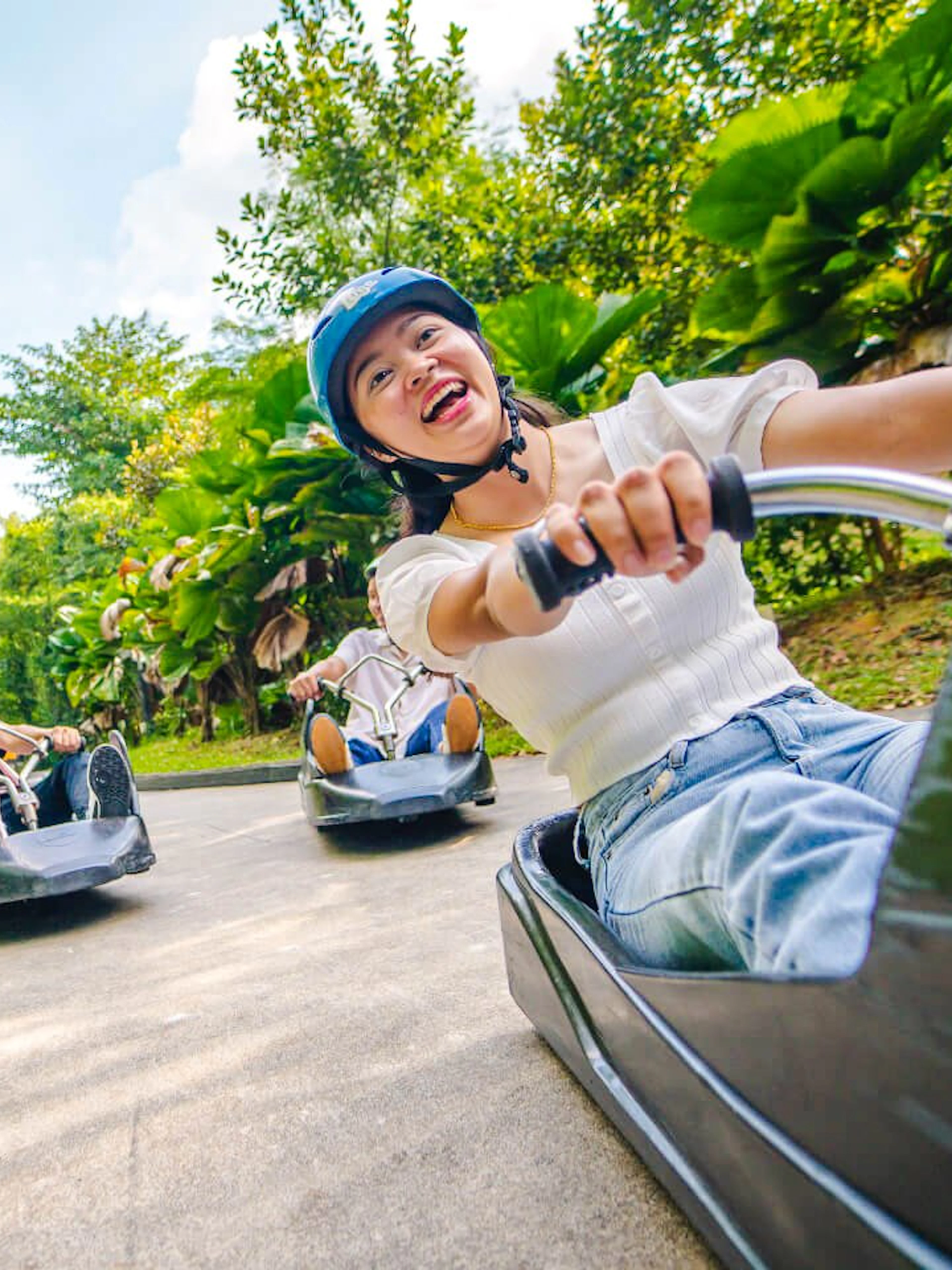 People enjoying a ride on the Skyline Luge track surrounded by lush greenery.
