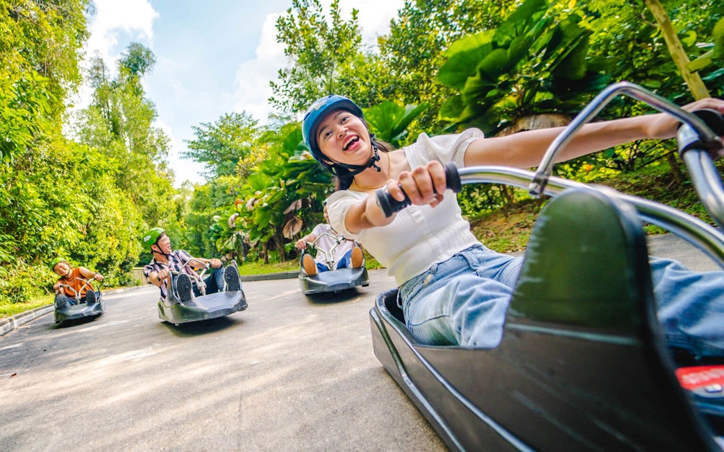 People enjoying a ride on the Skyline Luge track surrounded by lush greenery.
