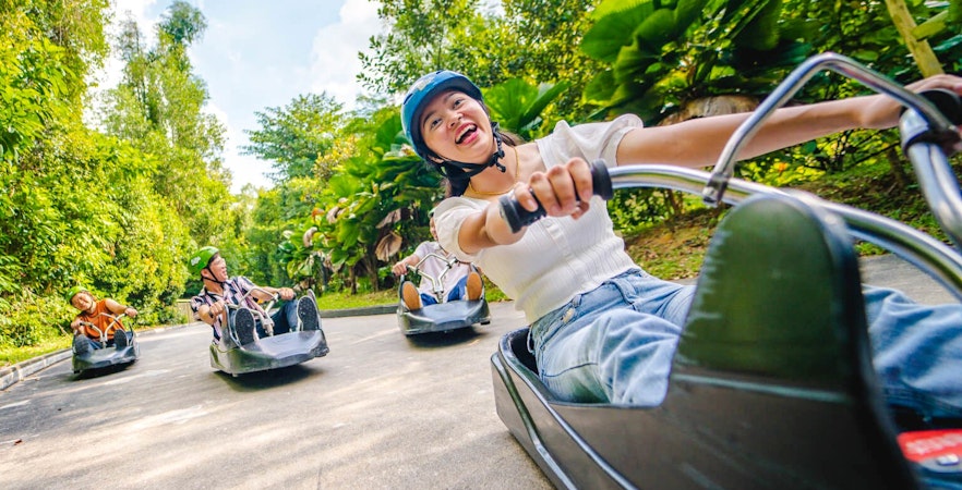 People enjoying a ride on the Skyline Luge track surrounded by lush greenery.