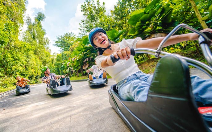 People enjoying a ride on the Skyline Luge track surrounded by lush greenery.
