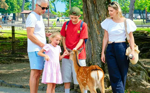 Family interacting with a deer in Nara Park during Kyoto and Nara driver-guided day trip.