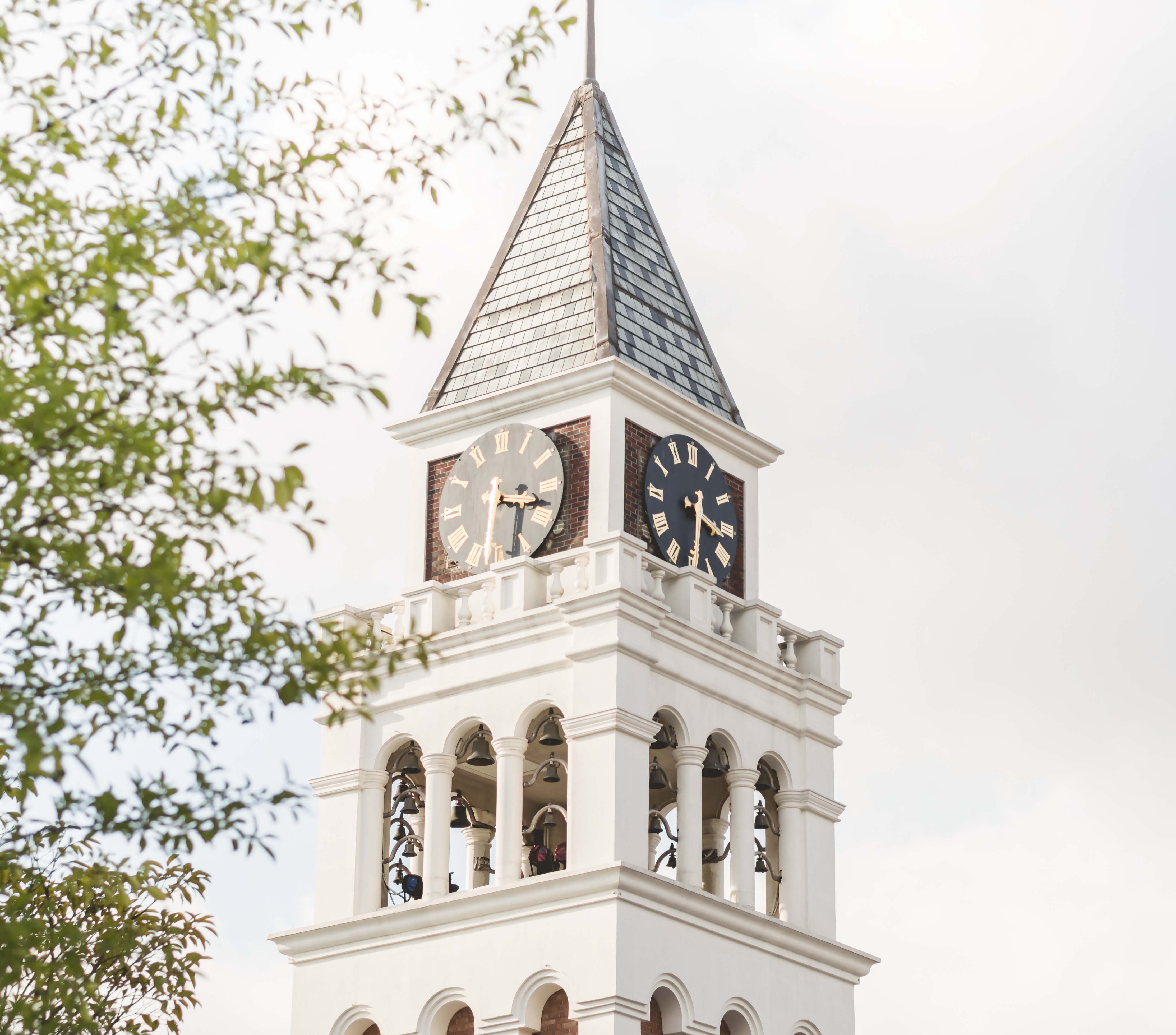 Everland Seoul tickets - Timings