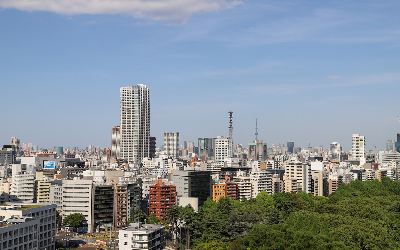 Shibuya Sky - Height