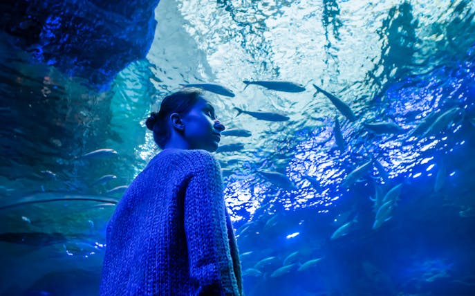 Person observing fish in an underwater tunnel at Monster Aquarium.