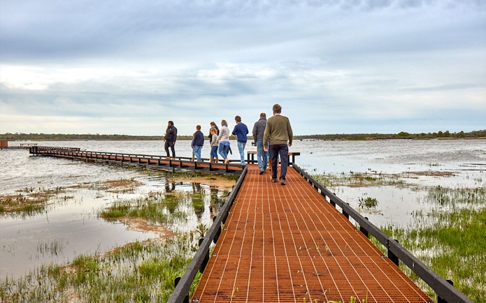 Group walking on boardwalk over wetlands during Kooyang Yana full day tour.
