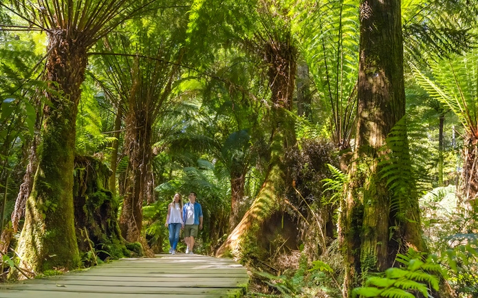 Couple walking on a wooden path through a lush green forest.