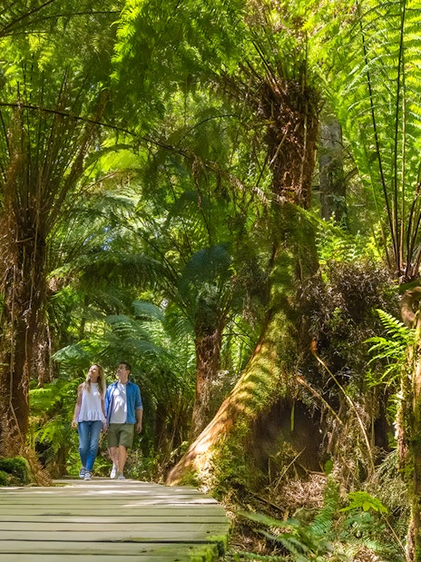 Couple walking on a wooden path through a lush green forest.