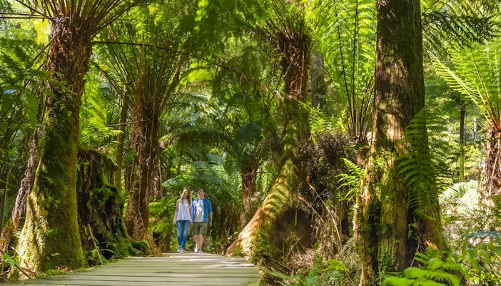 Couple walking through lush forest on Great Ocean Road tour, Melbourne.