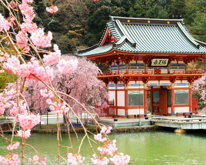 Katsuo-ji Temple Guided Day Tour from Kyoto