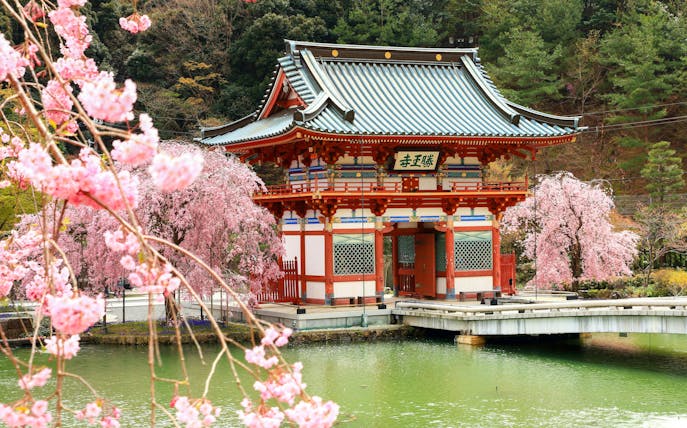 guidet tur til katsuo-ji-templet fra kyoto-1