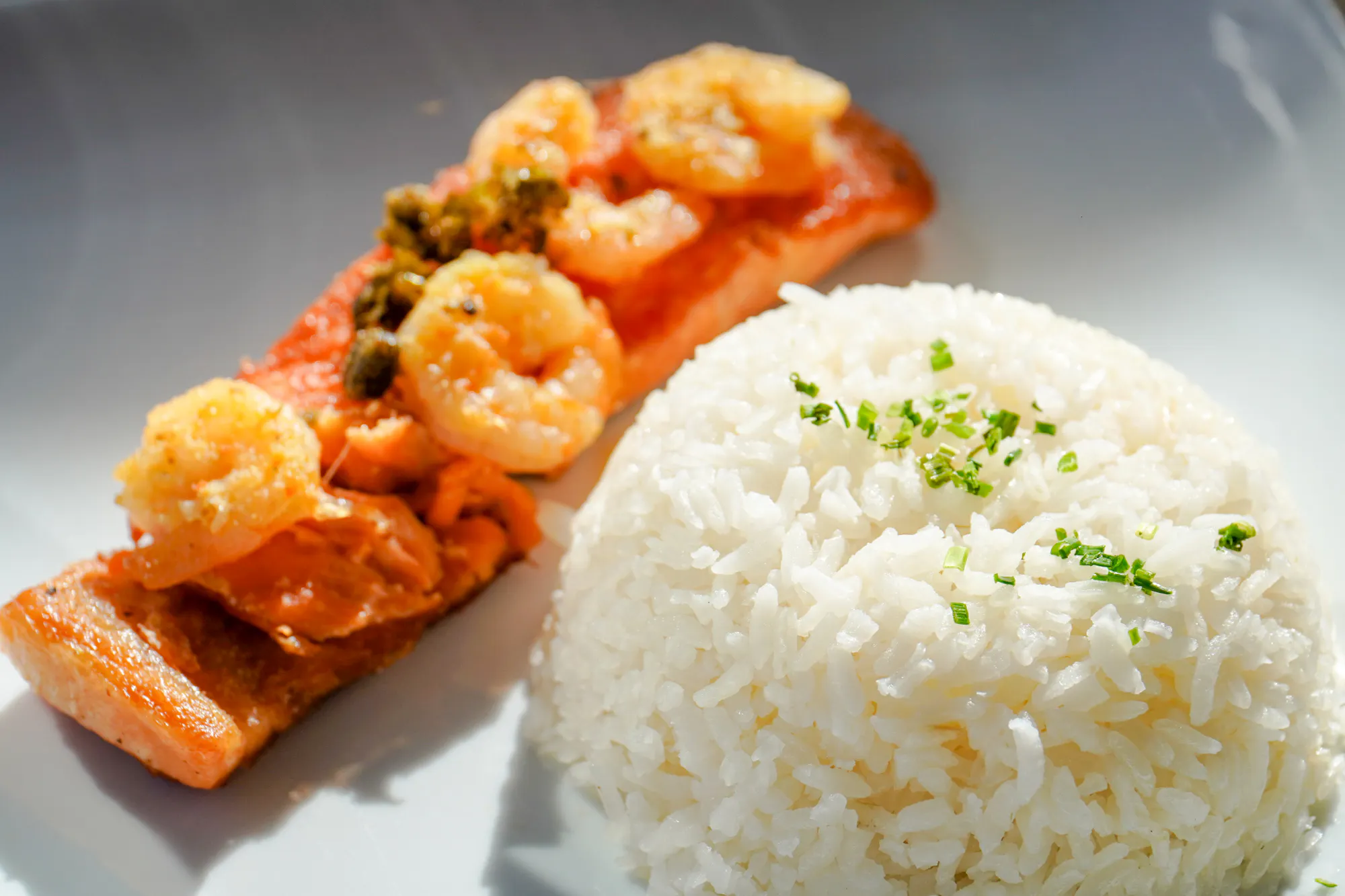 Grilled salmon with shrimp and rice served on Valle Nevado tour lunch, Santiago.