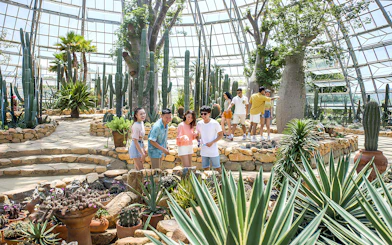 Visitors exploring cacti and succulents in the Garden of Five Continents greenhouse.