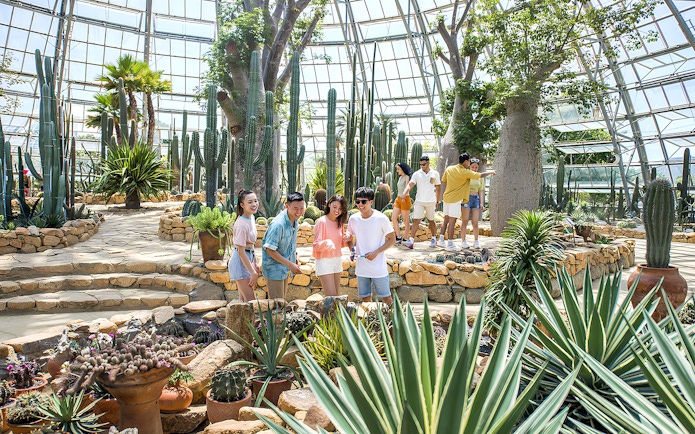 Visitors exploring cacti and succulents in the Garden of Five Continents greenhouse.