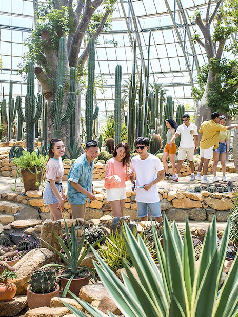 Visitors exploring cacti and succulents in the Garden of Five Continents greenhouse.