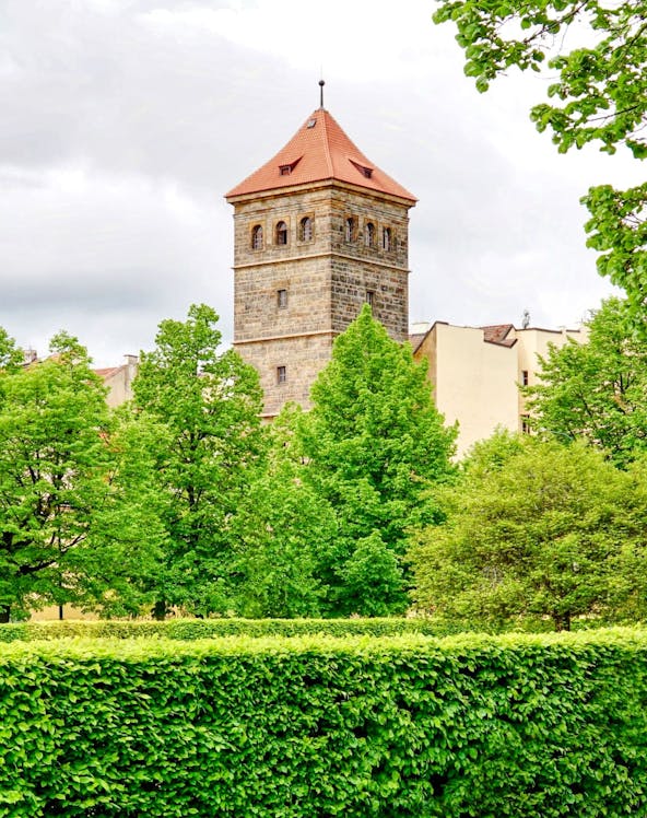 New Mill Water Tower in Prague surrounded by lush green trees.