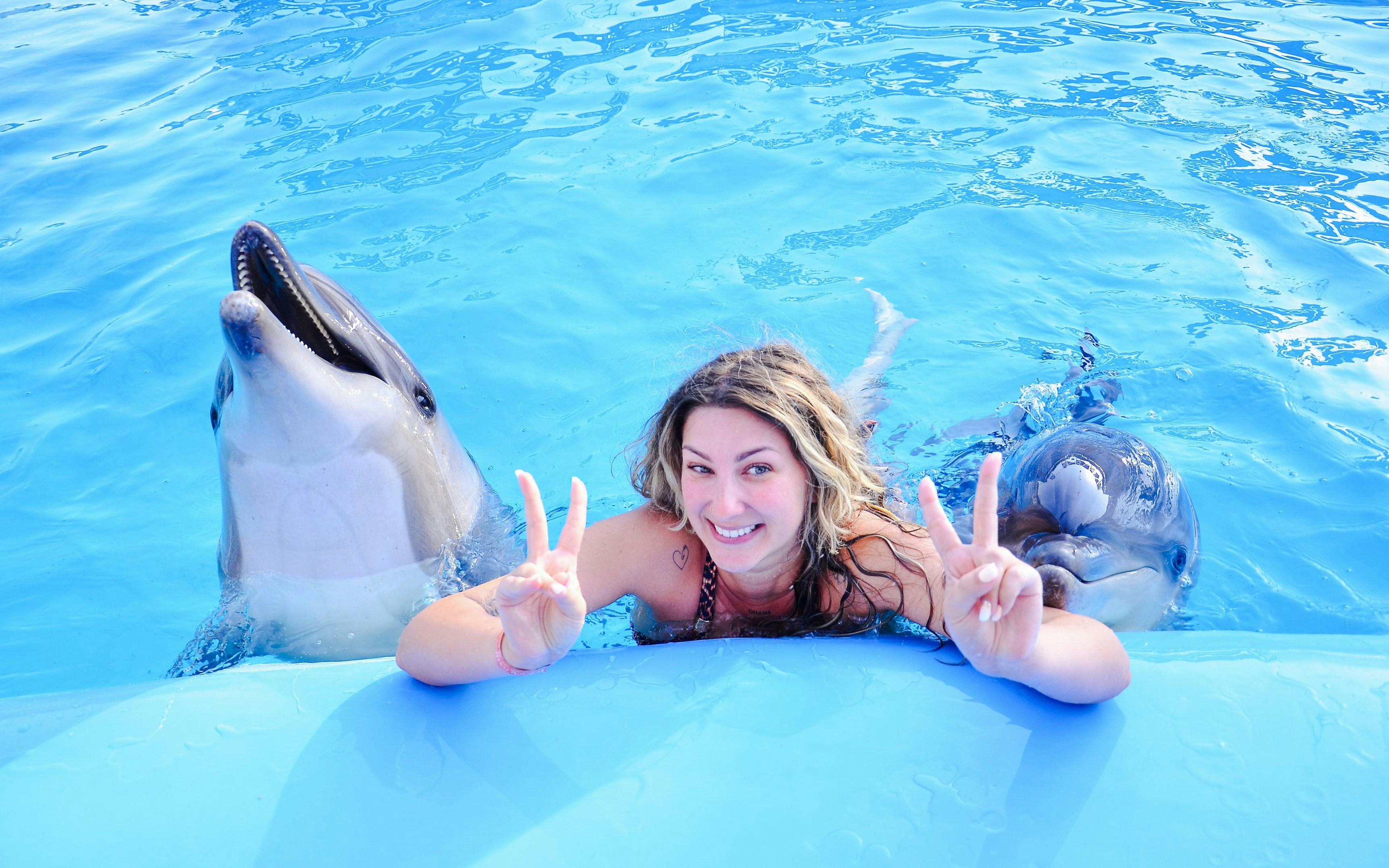 Swimming with dolphins at Dolphin World during a private photo experience.