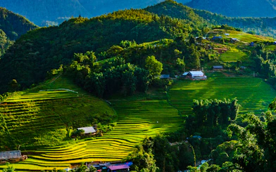 Cat Cat Village Small-Group Guided Tour from Sapa Town