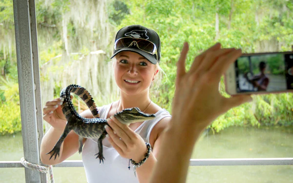 New Orleans Swamp and Bayou Alligator Tour