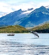 Whale watch cruise