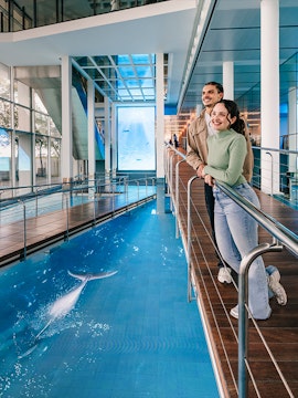 Tourists viewing the aquarium pool at Barcelona Aquarium.