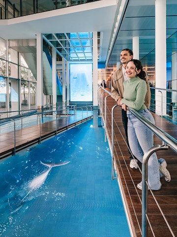 Tourists viewing the aquarium pool at Barcelona Aquarium.