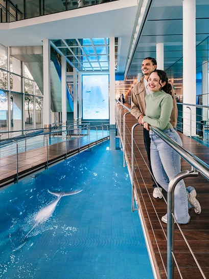 Tourists viewing the aquarium pool at Barcelona Aquarium.