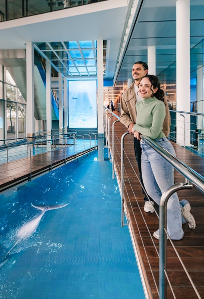 Tourists viewing the aquarium pool at Barcelona Aquarium.