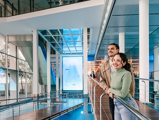 Tourists viewing the aquarium pool at Barcelona Aquarium.