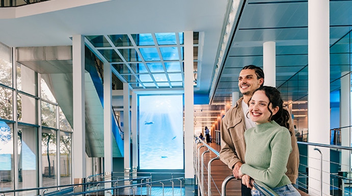 Tourists viewing the aquarium pool at Barcelona Aquarium.