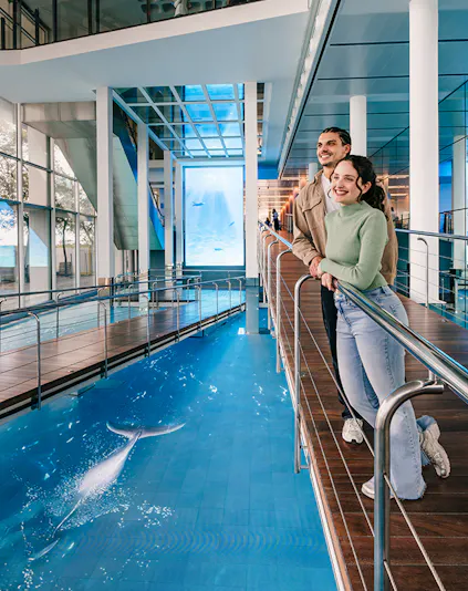Tourists viewing the aquarium pool at Barcelona Aquarium.