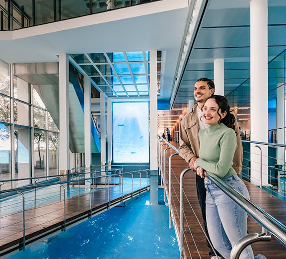Tourists viewing the aquarium pool at Barcelona Aquarium.
