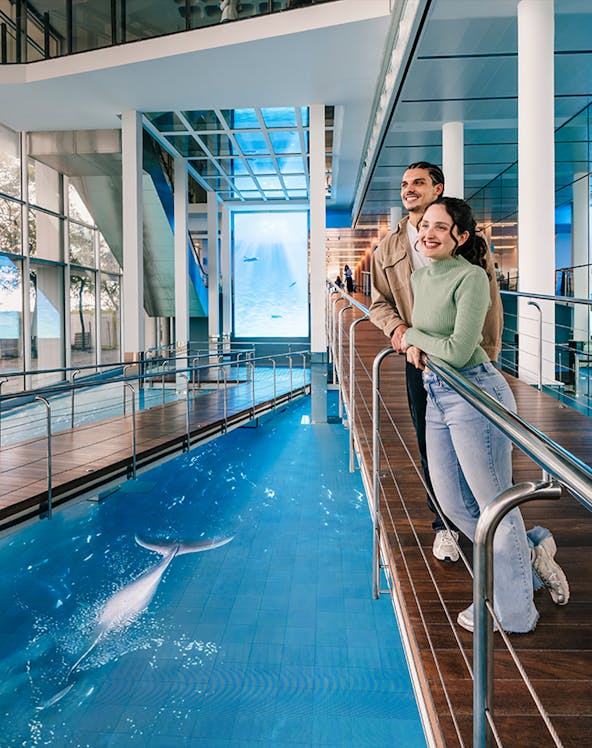 Tourists viewing the aquarium pool at Barcelona Aquarium.