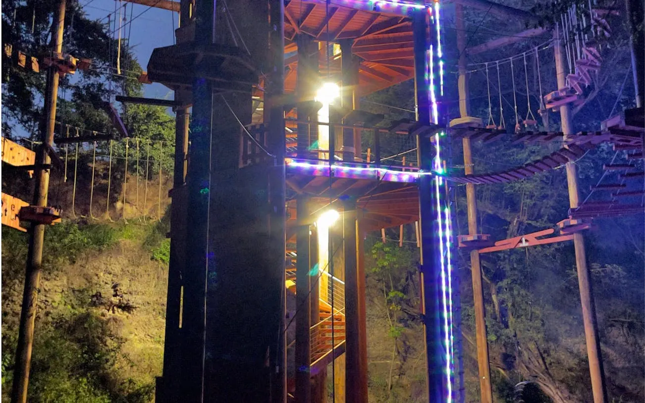 Nighttime view of illuminated adventure course with rope bridges and platforms in forest setting.