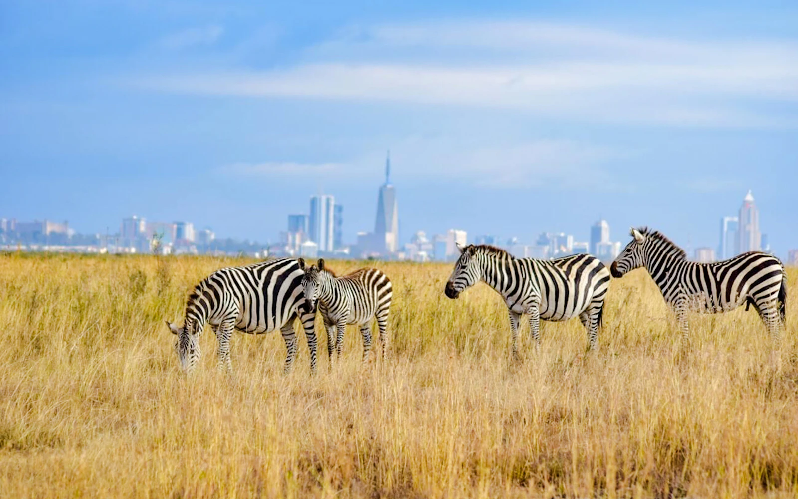 Dar es Salaam Private Customizable City Tour with Guide (Product 55669)