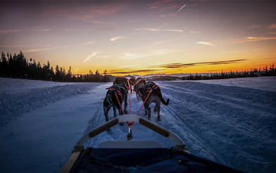 Dog sledding at sunset in the Tatra Mountains near Krakow.