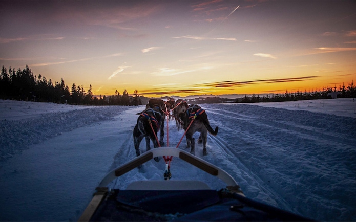 Dog sledding at sunset in the Tatra Mountains near Krakow.